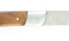 Le Thiers Thuya - 2 pièces - 2 mitres 2